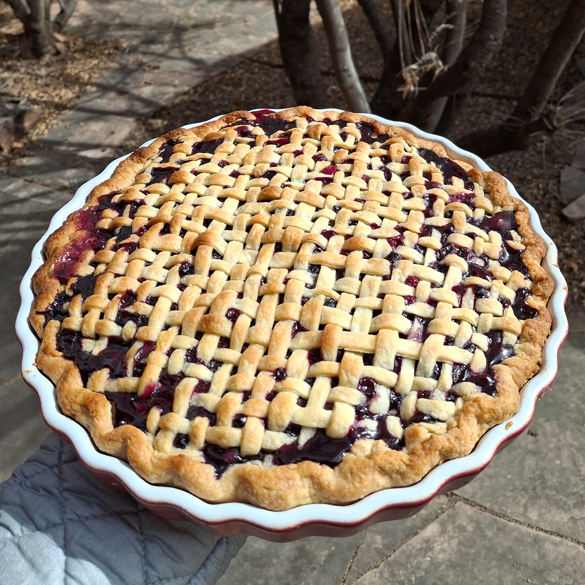 Lost Art Pies and Tarts